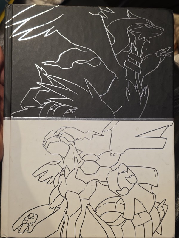 Pokemon Black & Pokemon White Versions by The Pokemon Company Intl.