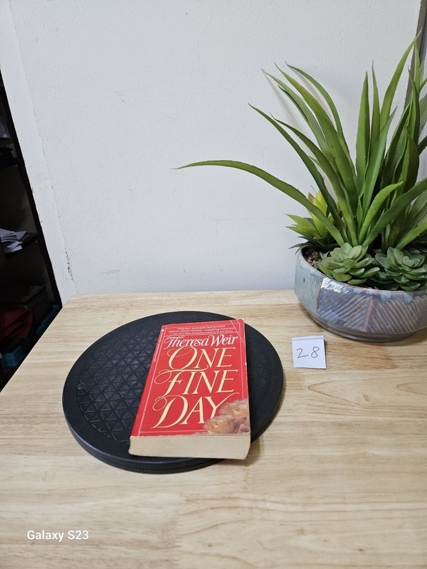 One Fine Day by Weir, Theresa 1994 Paperback