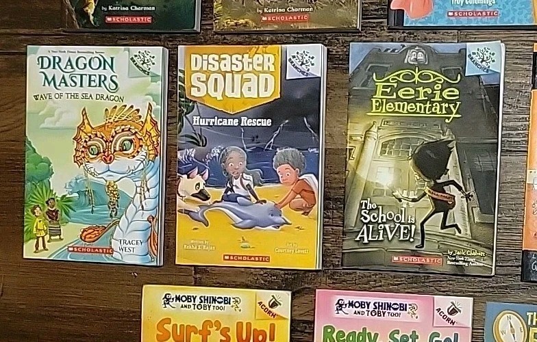 LOT 27 BRANCHES CHAPTER BOOKS: DIARY OF PUG +Owl Diaries +PRESS START HomeSchool gallery
