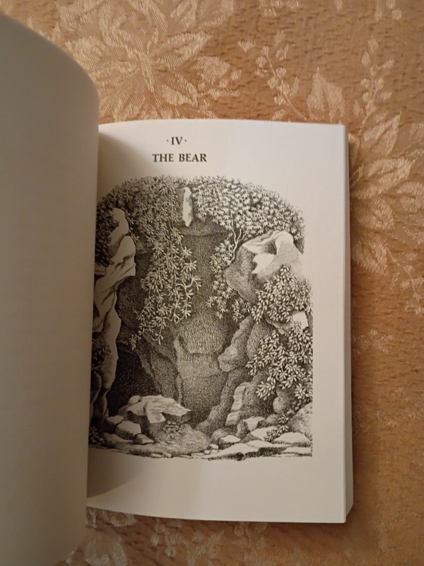 The Animal Family Randall Jarrell Maurice Sendak 1996 HarperCollins Paperback gallery