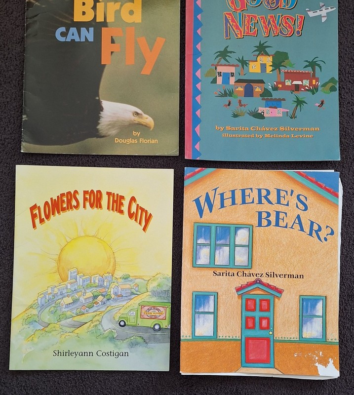 11 Oversized Easel Books 6 Chime In Charts 8 Hampton Brown Vintage 90s Lot READ gallery