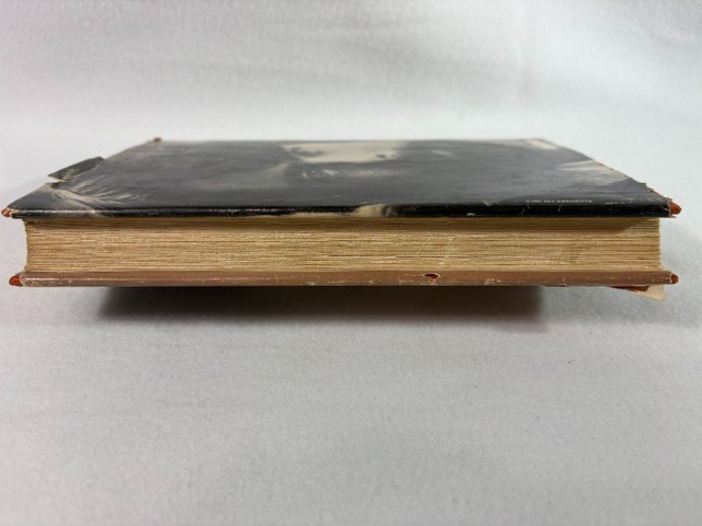 Cujo Stephen King Book Club Edition hardcover with dust jacket 1981 Viking gallery