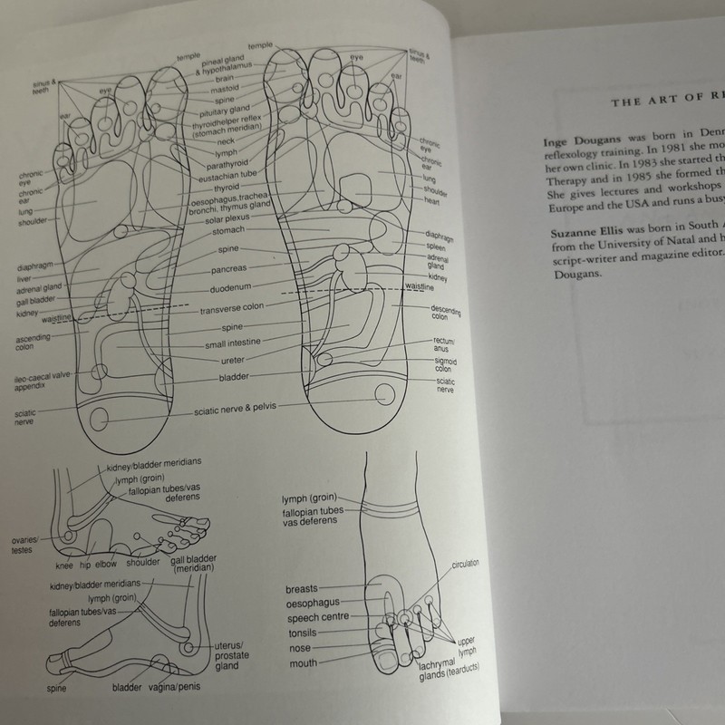 Art of Reflexology by Inge Dougans and Suzanne Ellis gallery