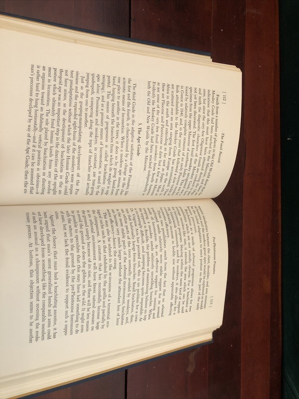 ￼”Man's Evolution An Introduction to Physical Anthropology” Brace & Montagu 1966 gallery