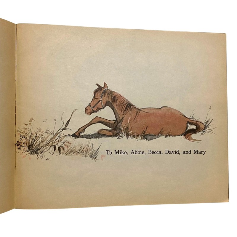 A Colt Named Mischief Paperback Sandy Rabinowitz Horse Stories Girls Interest gallery