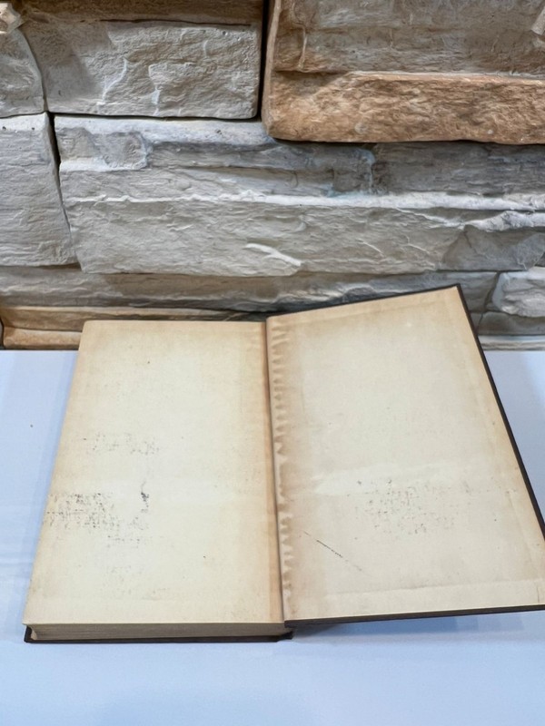 Alexandre Dumas Ange Pitou or Taking the Bastile Vol 1 & 2 Historical Fiction gallery