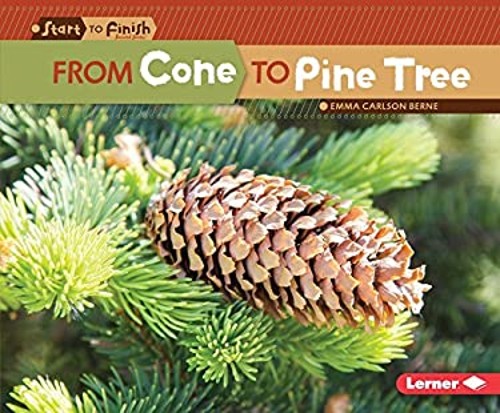 From Cone to Pine Tree Hardcover Emma Carlson-Berne