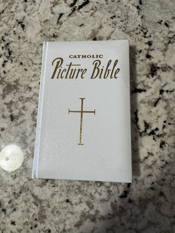 Catholic Picture Bible Illustrated Stories 1990 Gold Edged Excellent Condition