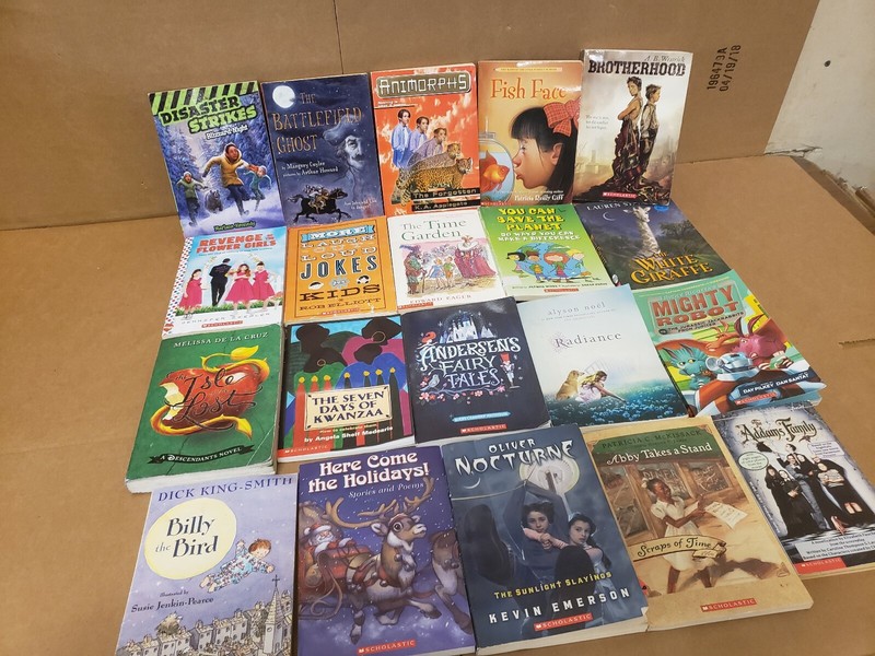 Lot of 50 Chapter INSTANT LIBRARY Children Young Adult RANDOM UNSORTED BOOKS MIX gallery