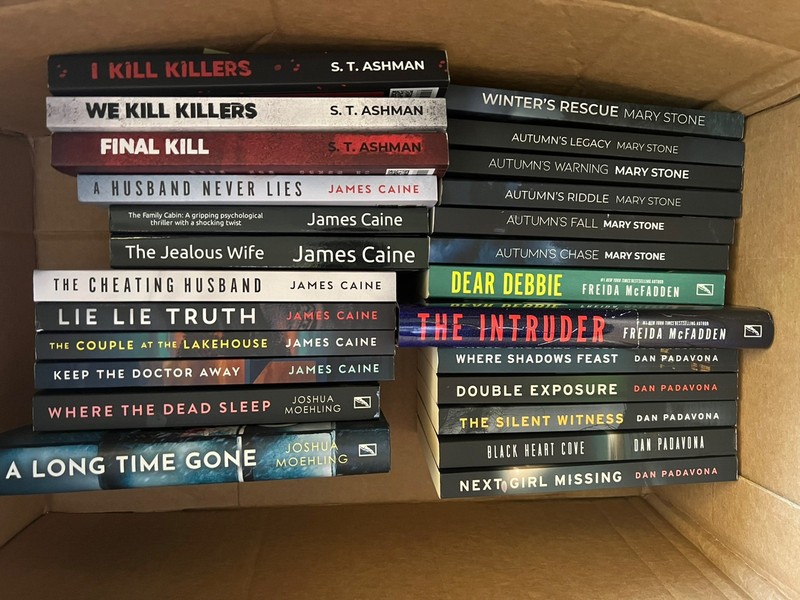 Lot of 25 Books Mystery Thriller Crime Murder McFadden Stone Padinova & more!!