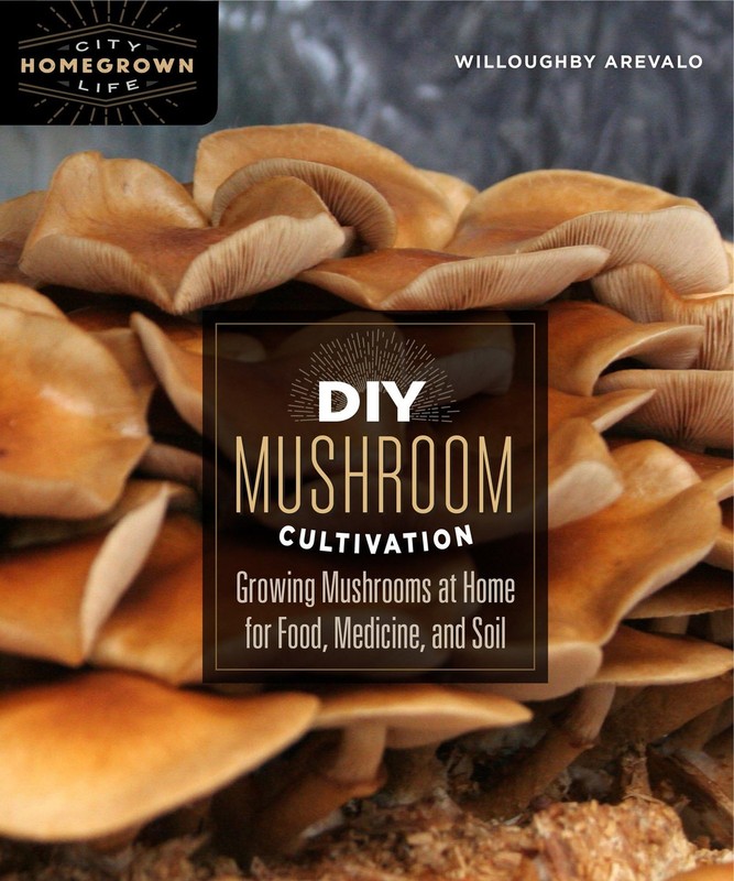 DIY Mushroom Cultivation: Growing Mushrooms at Home for Food, Medicine, and …
