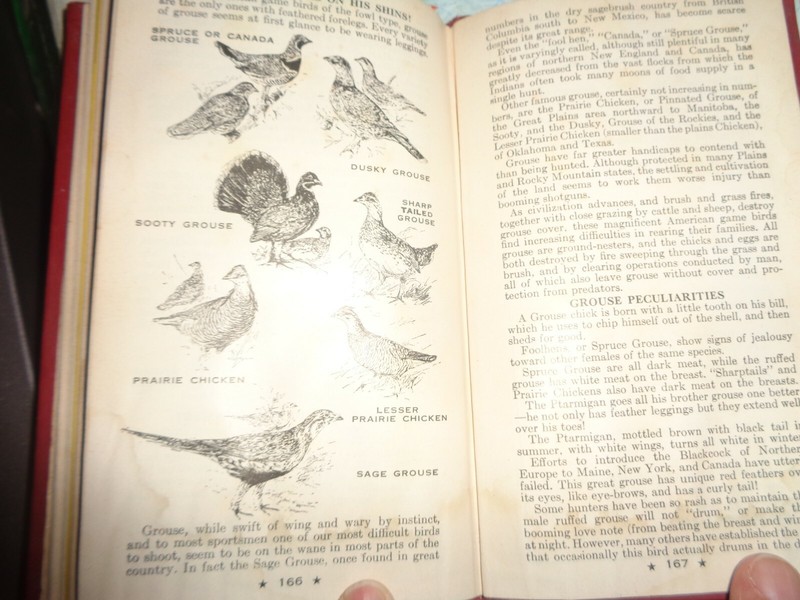 HODGMAN'S HANDY BOOK OF SPORTSMEN'S SECRETS COPYRIGHT 1946 VINTAGE 168 PAGES gallery
