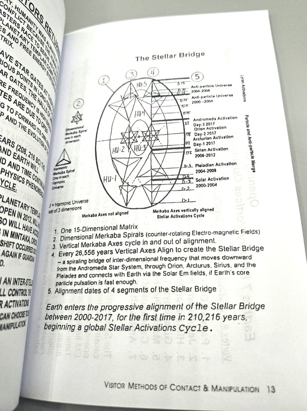 Angelic Realities The Survival Handbook By Ashayana Deane Ekr MC New 2025 gallery