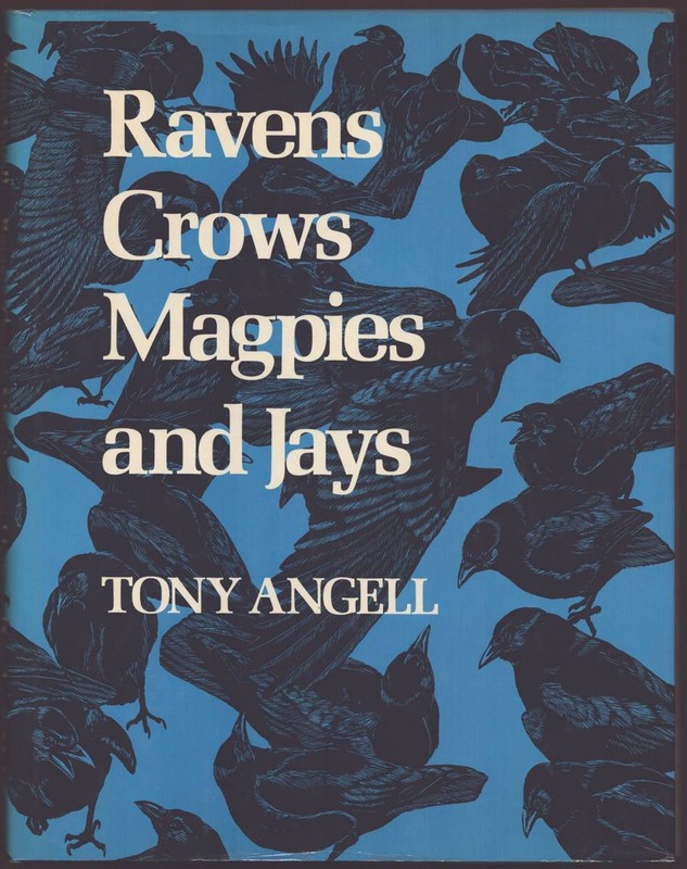 RAVENS, CROWS, MAGPIES, AND JAYS
