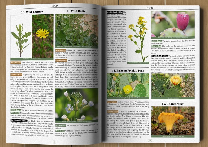 Wilderness Long-Term Survival Guide: Forgotten Skills to Make the Wild Your Home gallery