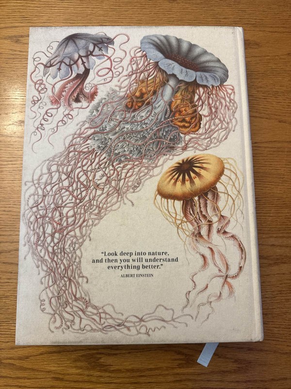 Art and Science Ernst Haeckel Taschen Hardcover Book XXL Jumbo gallery