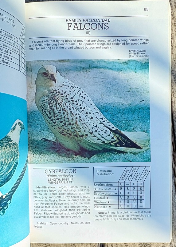 A New Expanded Guide to the Birds of Alaska Book by Robert H Armstrong Bird gallery