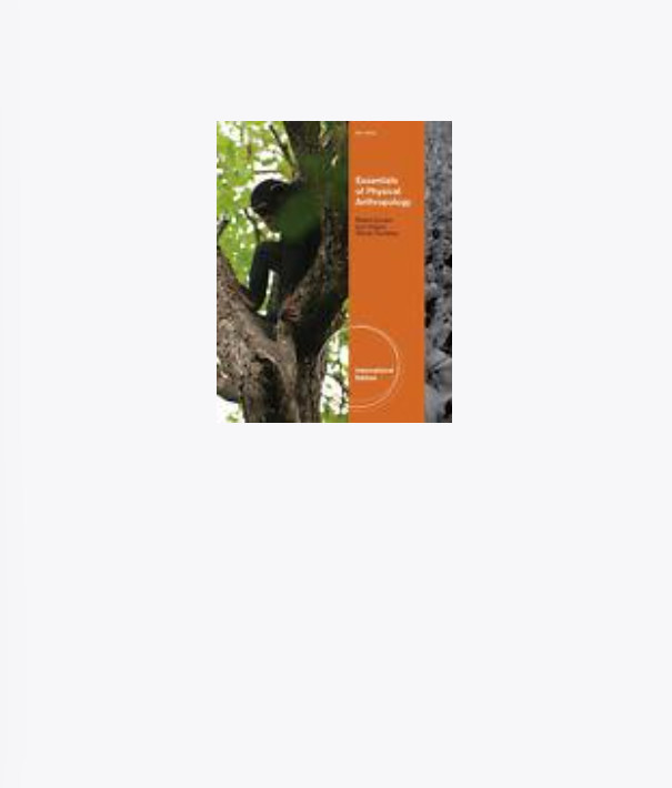 Essentials of Physical Anthropology by Lynn Kilgore, Robert Jurmain 8E