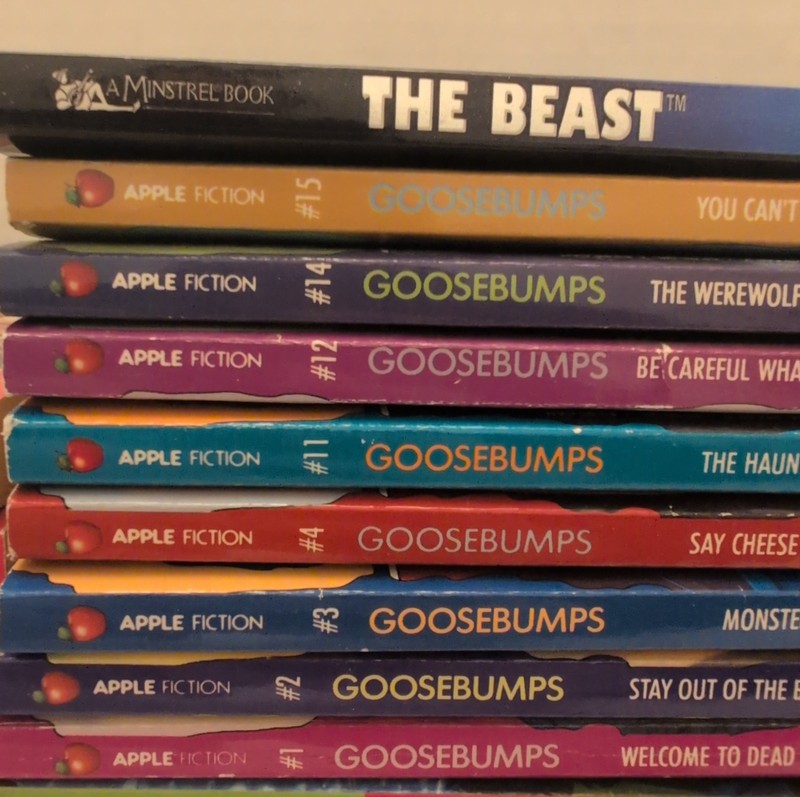 R.L. Stine Vintage Lot Of 29 Fear Street/Goosebumps/More Books 90s 2000s Horror gallery