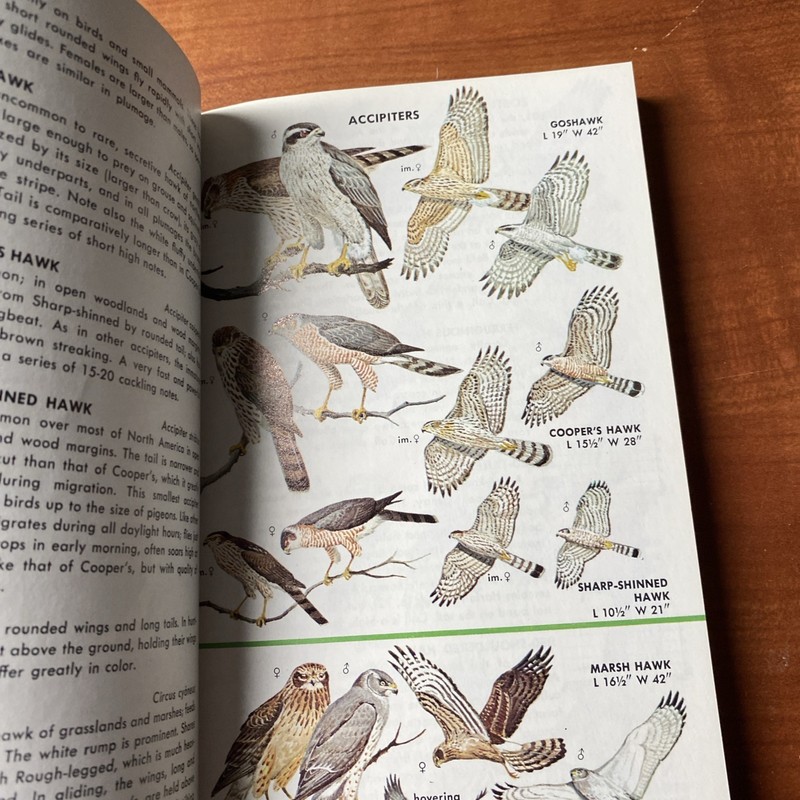 Guide to Field Identification Birds North America Golden Field Guide 1966 Trees gallery