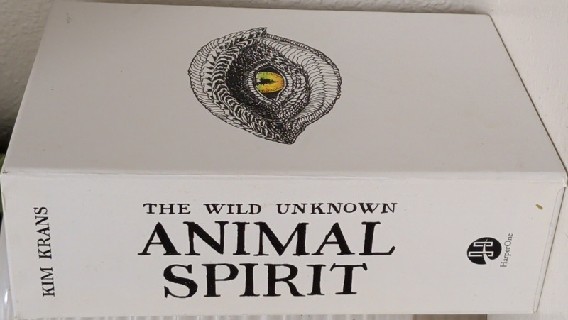 Kim Krans The Wild Unknown Animal Spirit Guidebook Box Set HarperOne