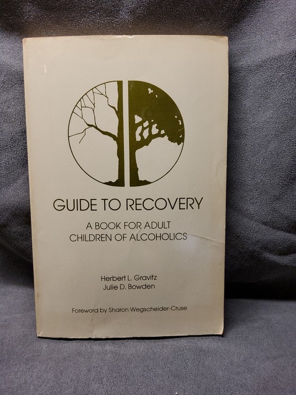 Guide to Recovery : A Book for Adult Children of Alcoholics Paper