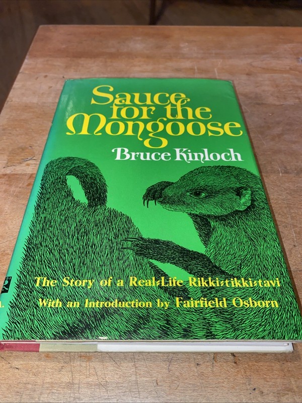 SAUCE FOR THE MONGOOSE,REAL LIFE RIKKI-TIKKI-TAVI,1ST U.S.’65