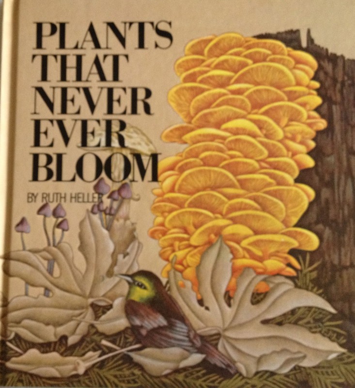 Plants That Never Ever Bloom Heller, Ruth hardcover Very Good