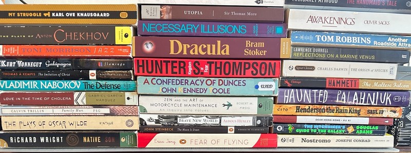 BUILD YOUR OWN LOT : Subversive Books/Cult Novels/Classic Lit : Bundle & Save! gallery