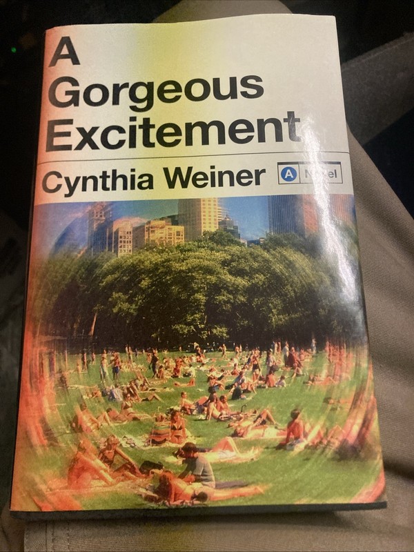 A Gorgeous Excitement: A Novel