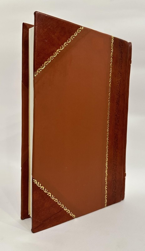 Walker of Tinnevelly (1916) [Leather Bound] gallery