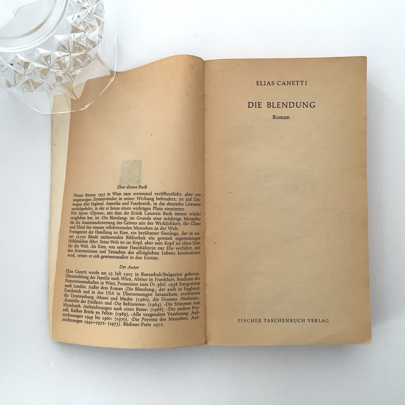 Elias Canetti DIE BLENDUNG (1974) German Edition Vintage Fischer Nobel Prize gallery
