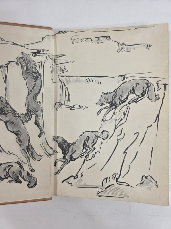 Wild Animals of the Five Rivers Country George Franklin 1947 Mary Ogden Abbott gallery