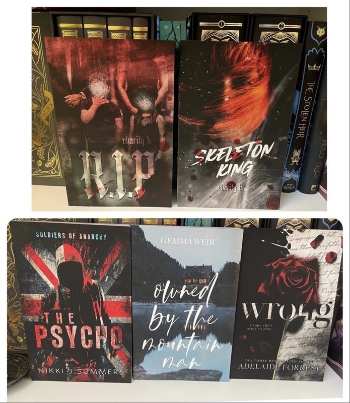 Dark and Disturbed 5 Book Special Edition Bundle! Dark Romance OOP