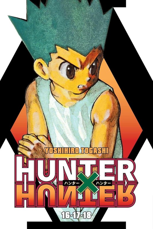 Hunter X Hunter (3-In-1 Edition), Vol. 6: Includes Vols. 16, 17, & 18 Paperback
