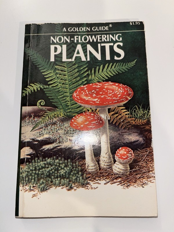 A Golden Nature Guide Non-Flowering Plants, Ferns, Mosses, Lichens, Etc. 1967