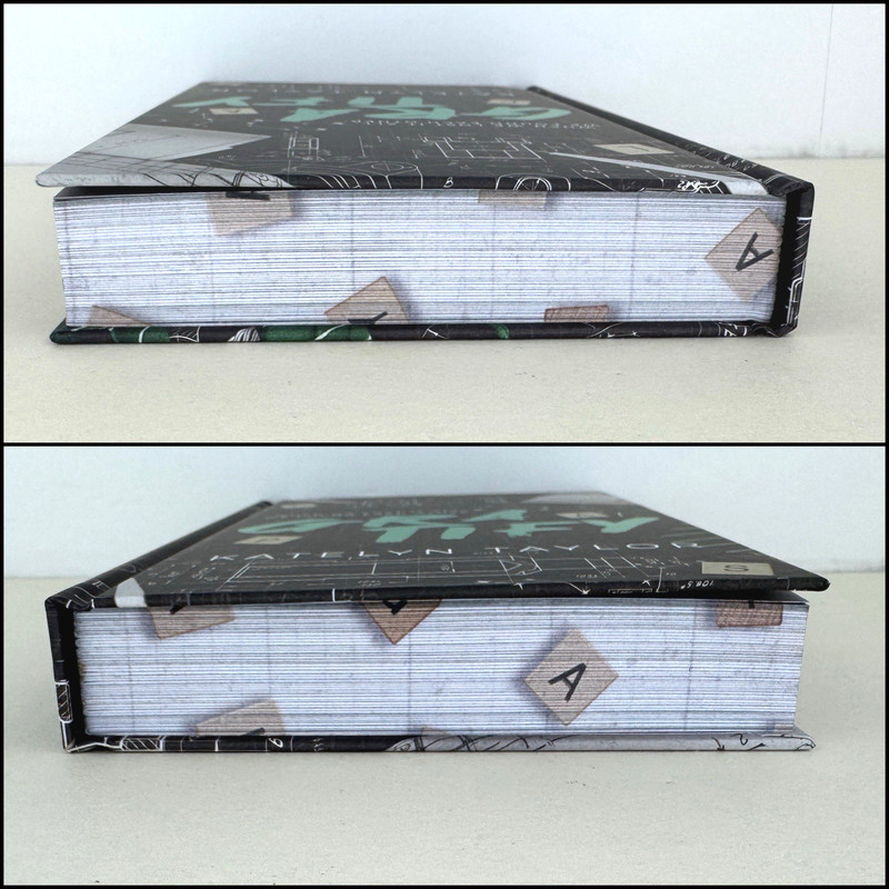 Gratify Katelyn Taylor Dark & Disturbed Special Edition Hardcover Digital Edges gallery