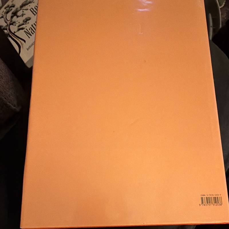 India: Art and Culture 1300-1900 HC Illustrated Reprint Stuart Cary Welch 1985 gallery