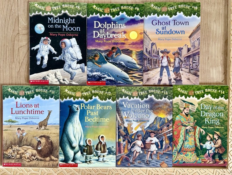 Magic Tree House Complete Set 1-28 Original Book Lot Chapter Mary Pope Osborne gallery