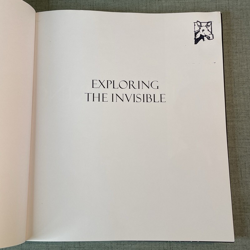 Exploring the Invisible Art, Science and the Spiritual by Lynn Gamwell Paperback gallery