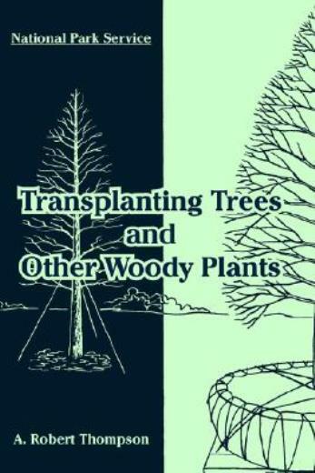 Transplanting Trees And Other Woody Plants