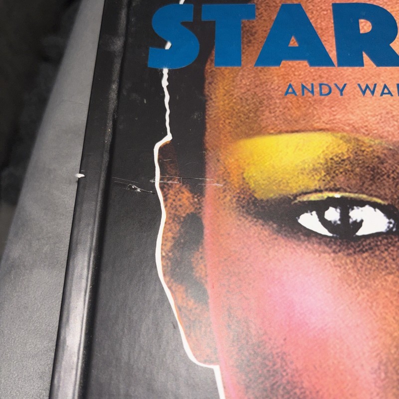 Richard Bernstein Starmaker: Andy Warhol's Cover Artist by Roger Padilha: New gallery