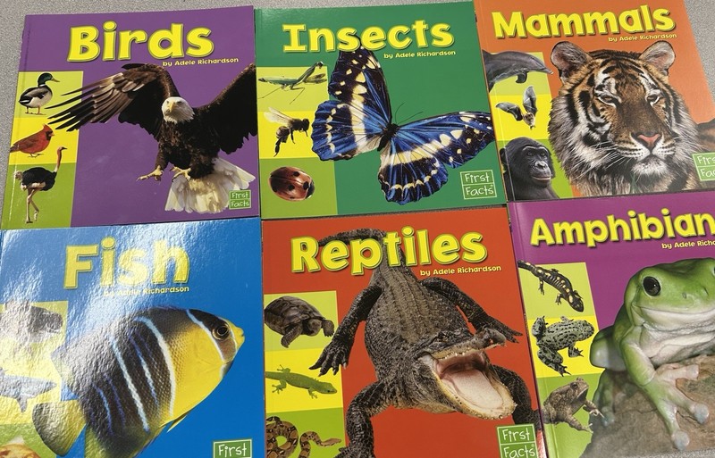 EXPLORING THE ANIMAL KINGDOM Capstone press Fish Reptiles Mammals Birds Insects