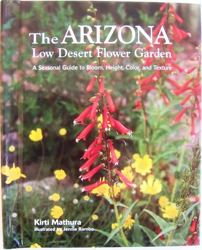 The Arizona Low Desert Flower Garden by Kirti Mathura