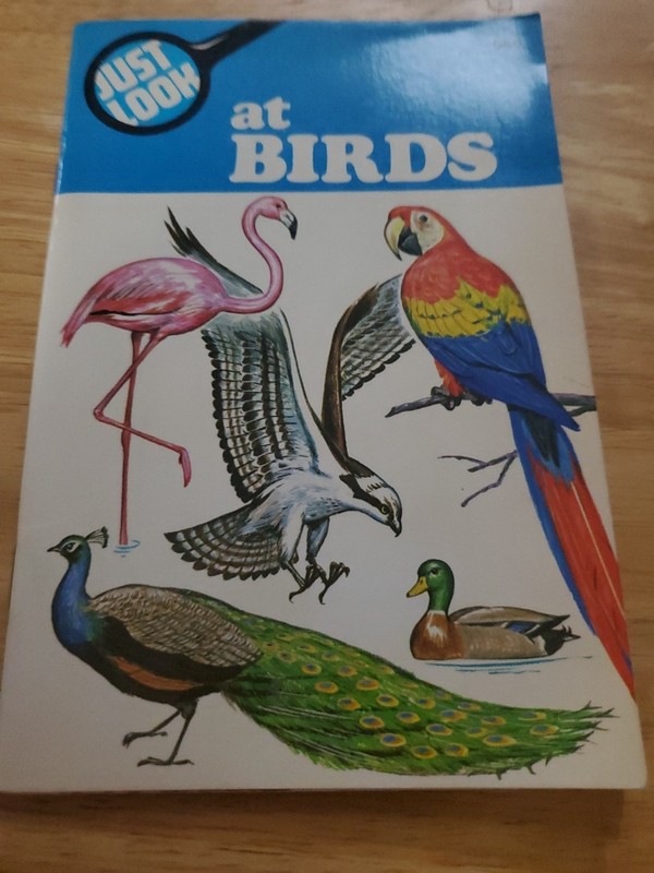 Vintage 1978 «Just Look at Birds» Color Booklet Watermill Press 6 1/2 X 3 1/2 in