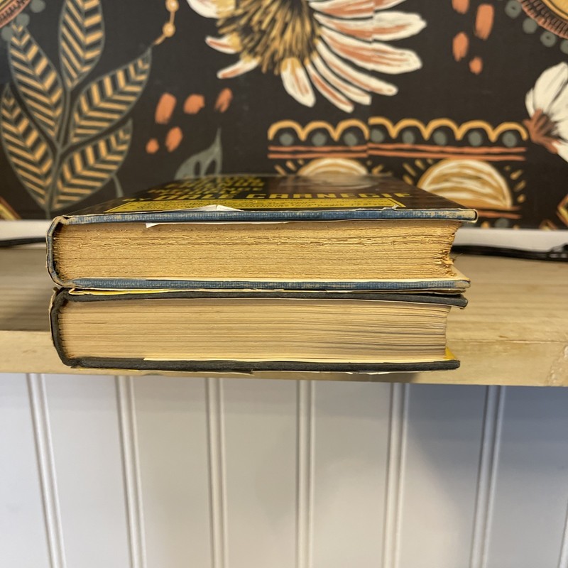 Dale Carnegie Vintage 2-Book Lot How To Win Friends Stop Worrying Hardcover DJ gallery