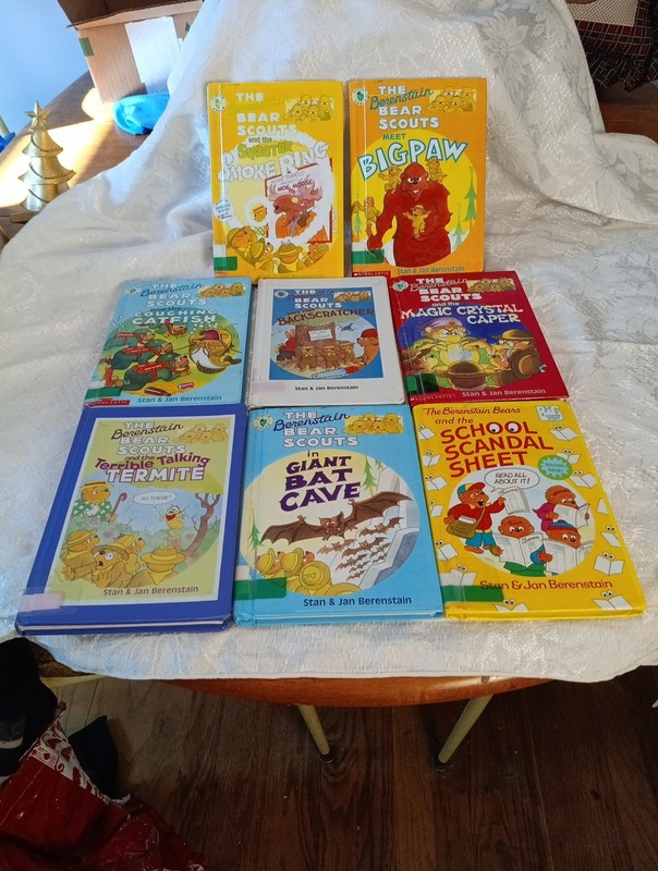 Lot Of 8 Bernstain 1990s Hard Bound Books