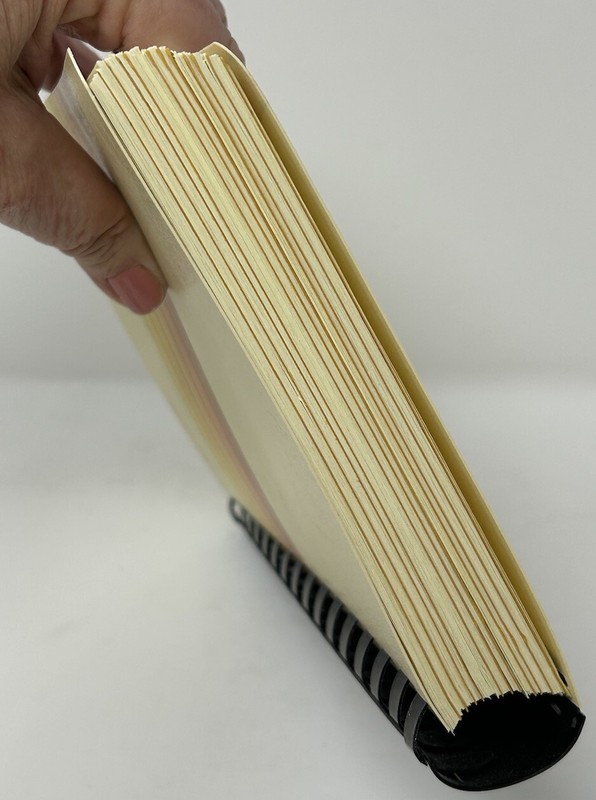 Cookbook Amber Waves Nebraska Junior League of Omaha 332 pages recipes 1983 VTG gallery