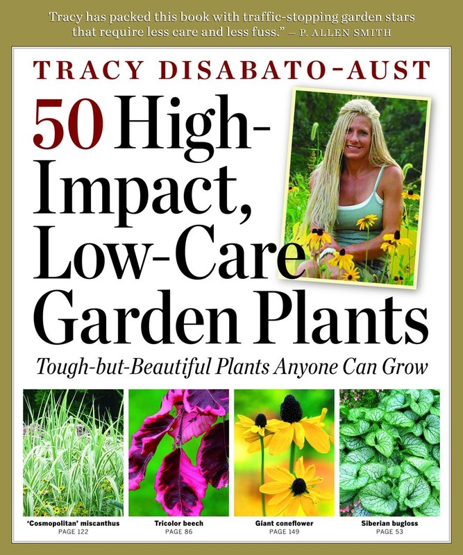 50 High-Impact Low-Care Garden Plants