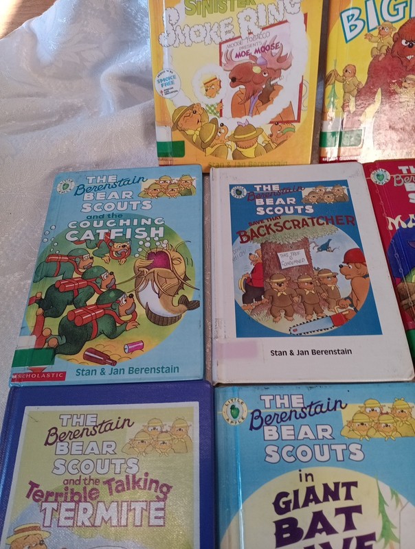Lot Of 8 Bernstain 1990s Hard Bound Books gallery